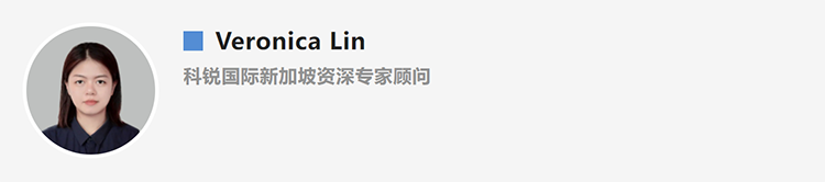 Veronica Lin，人力资源公司PA真人国际国际新加坡资深专家顾问
