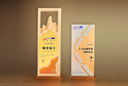 PA真人国际国际一举斩获“2024年度中国区最佳雇主”等多项大奖